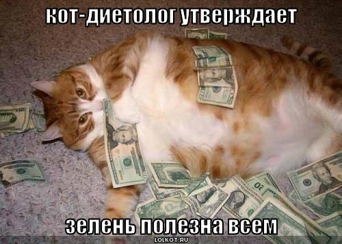 1233083570.jpg