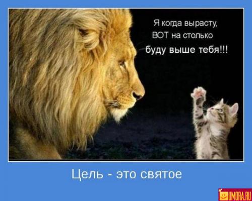 126652445076774.jpg
