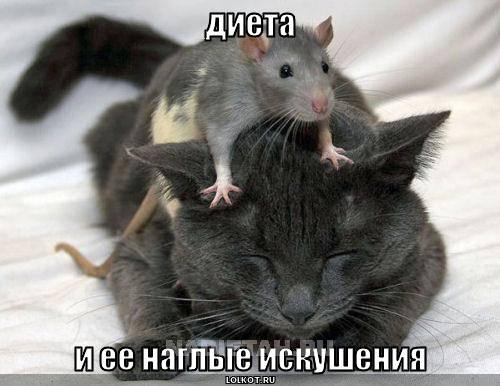 lju9t2acm7u5ucilh7kdrg1ir5_0.jpg