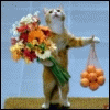 kot_prishel.gif
