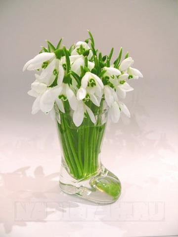 snowdrops.jpg