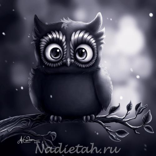 sova-art-owly-pesochnica-545577.jpeg