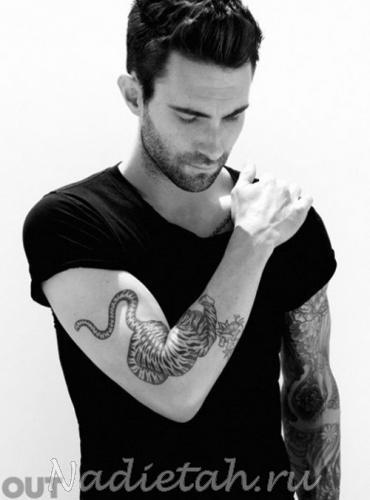 adam-levine-500x675.jpg